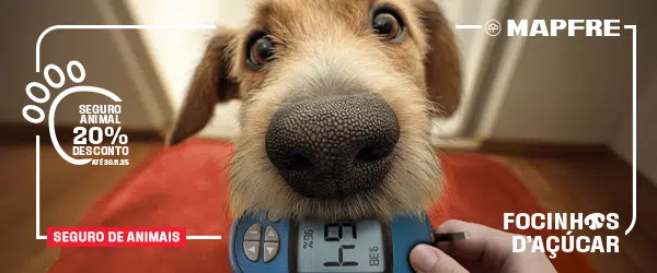Focinhos D´Açúcar: MAPFRE lança nova campanha