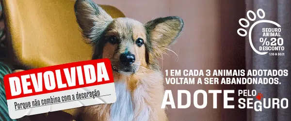 Adote pelo Seguro. Contra o abandono animal